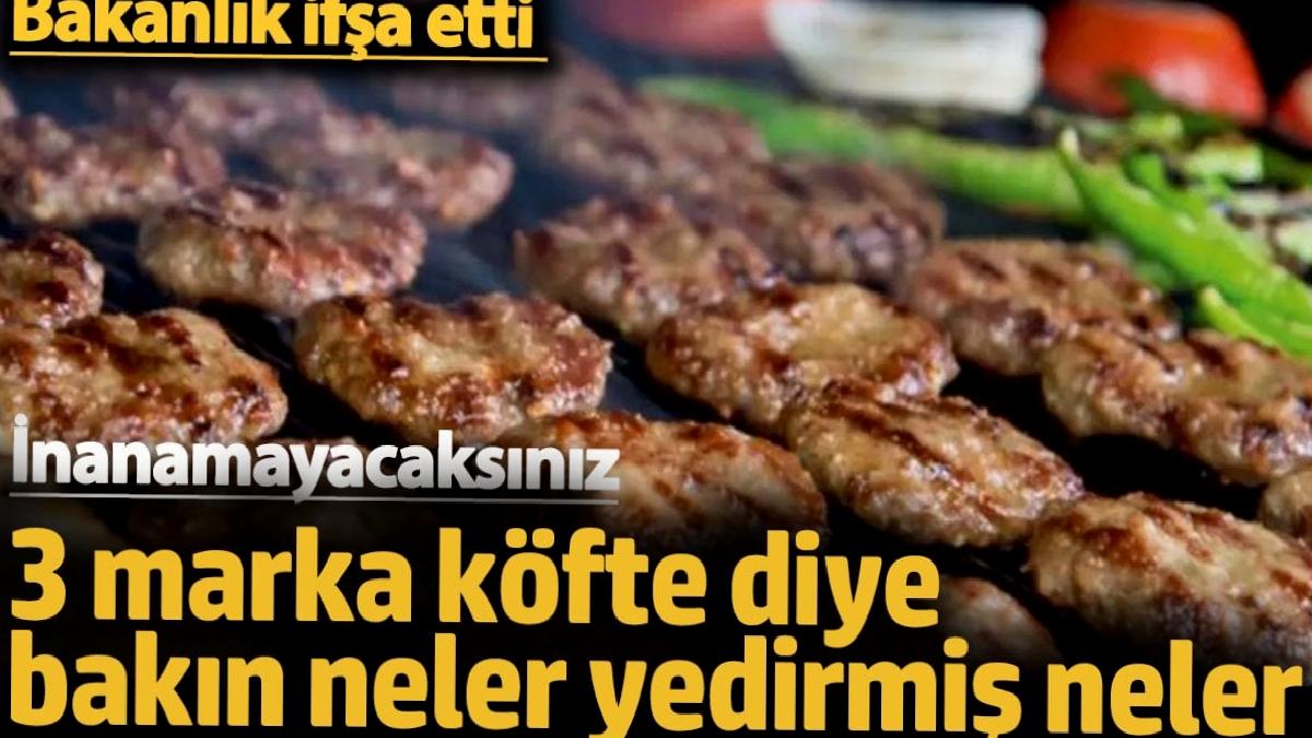 3-marka-kofte-diye-bakin-neler-yedirmis-neler-bakanlik-ifsa-etti-inanamayacaksiniz-FQJ53fQa.jpg