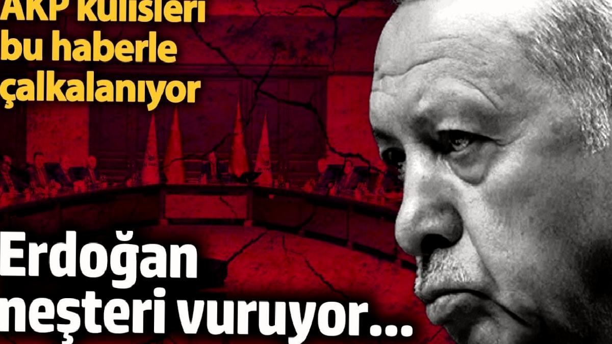 erdogan-nesteri-vuruyor-akp-kulisleri-bu-haberle-calkalaniyor-OQPkGjtA.jpg