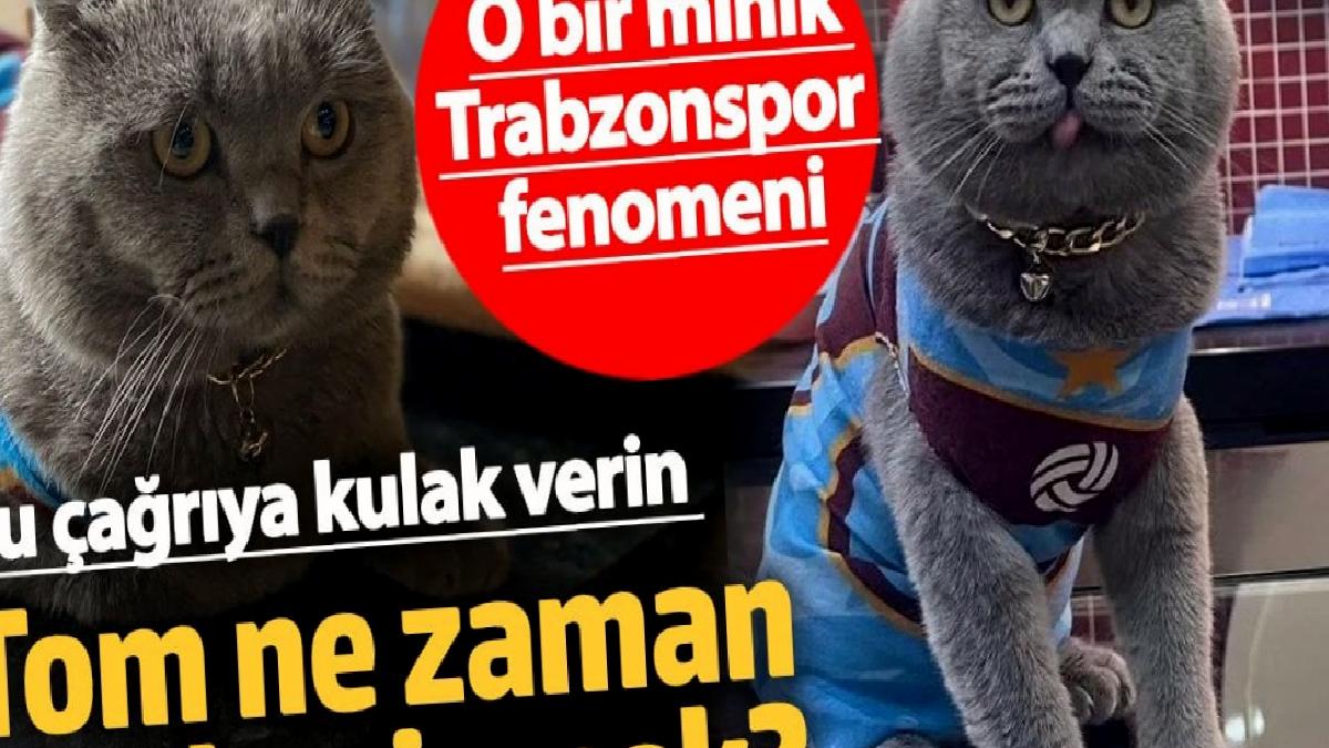 o-bir-minik-trabzonspor-fenomeni-bu-davete-kulak-verin-tom-ne-vakit-stada-girecek-AgDADBu7.jpg